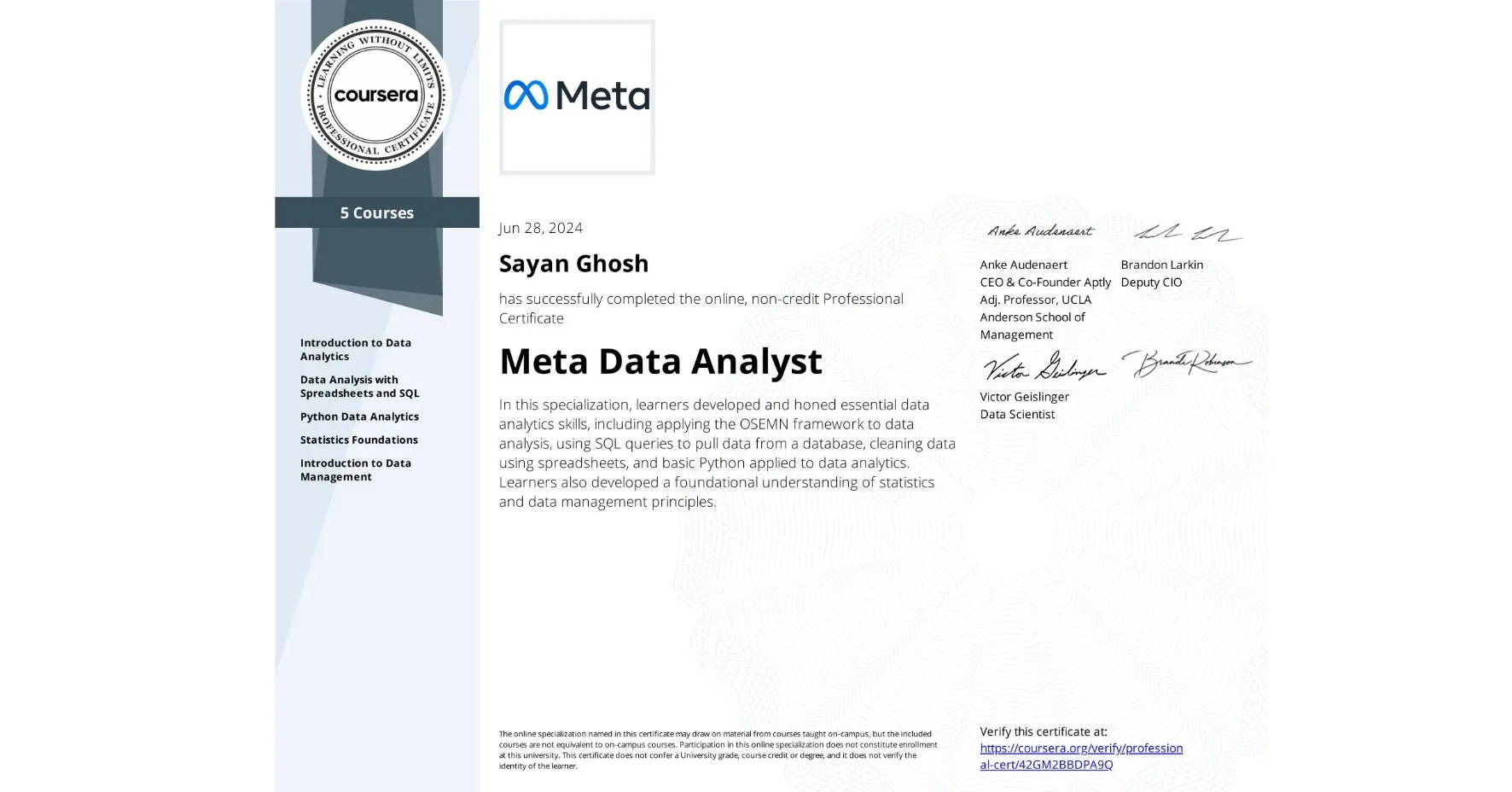 Meta Data Analyst